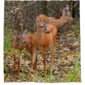 森素晴らしの鹿の三尾 シャワーカーテン (正面)