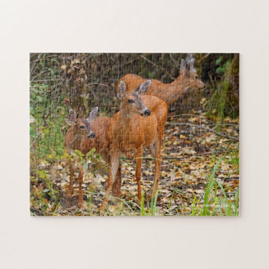 森素晴らしの鹿の三尾 ジグソーパズル (横)