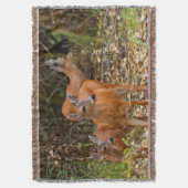 森素晴らしの鹿の三尾 スローブランケット (正面縦)