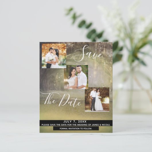 森素朴の木結婚の写真の保存日 (スタンド正面)