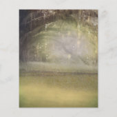 森素朴の木結婚の写真の保存日 (裏面)