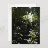 森素朴の階段/歩道 ポストカード (正面/裏面)