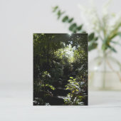 森素朴の階段/歩道 ポストカード (スタンド正面)