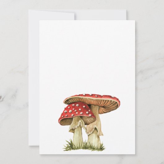 森素朴林の動物誕生日 招待状 (裏面)