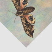 森素朴秋の自然切り離し 薄葉紙 (詳細)