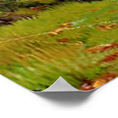 森赤と白池の近くのシカ ポスター (角)