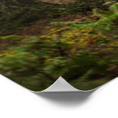 森輝くの日光 ポスター (角)