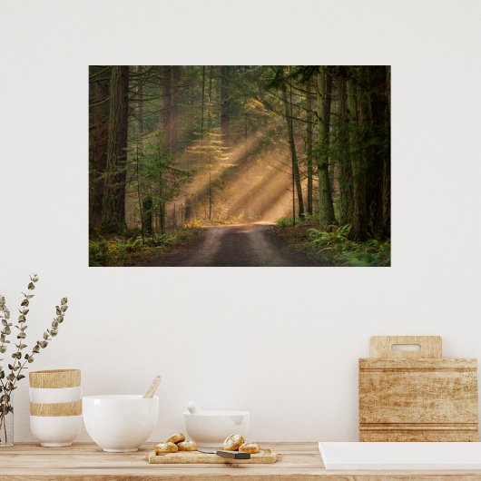 森輝くの日光 ポスター (キッチン)