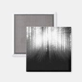 森輝くの木々を通る太陽 マグネット (正面/裏面)