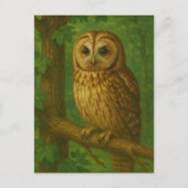 森静かのウォッチャー ポストカード (正面)