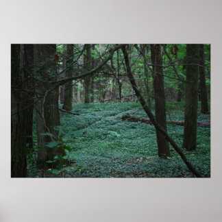 森静か林 ポスター