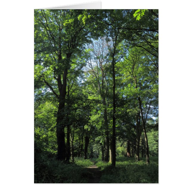 森。カーディフ・ビュートパーク (正面)