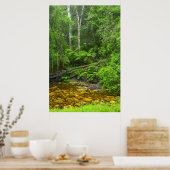 森、クニスナアマトールモンタン森林 ポスター (キッチン)