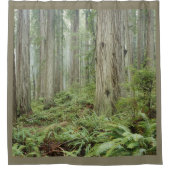 森 シャワーカーテン (正面)