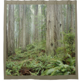 森 シャワーカーテン