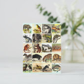 森・ジャングル・海コラージシートアート ポストカード (スタンド正面)