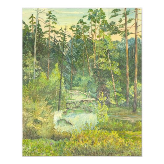 森 フォトプリント            (正面)