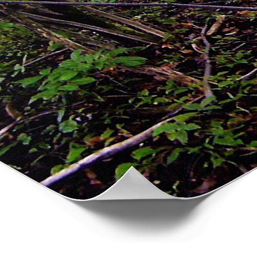 森 ポスター (角)