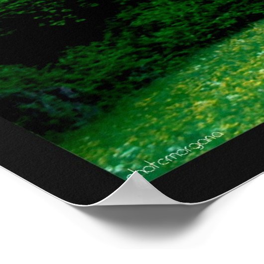 森 ポスター (角)