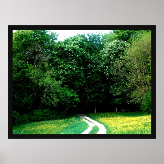 森 ポスター (正面)