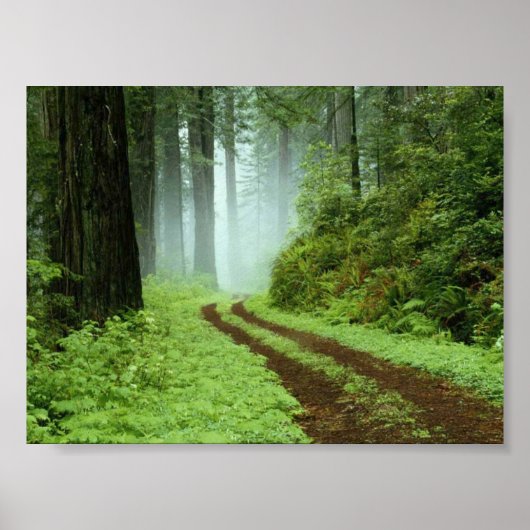 森 ポスター (正面)