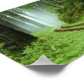 森 ポスター (角)