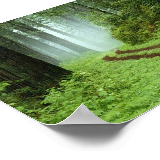 森 ポスター (角)