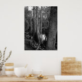 森 ポスター (キッチン)