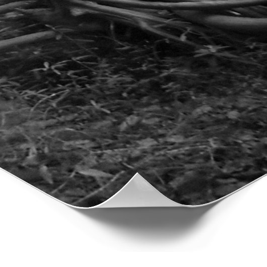 森 ポスター (角)