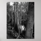 森 ポスター (正面)