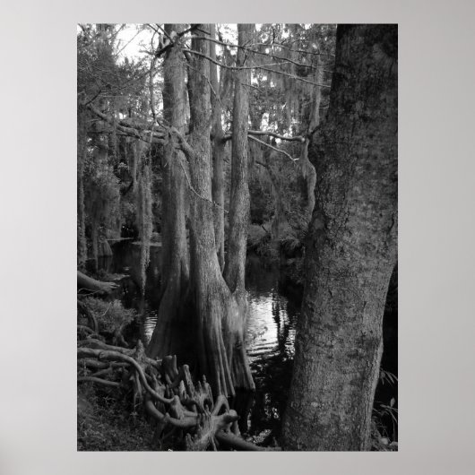 森 ポスター (正面)