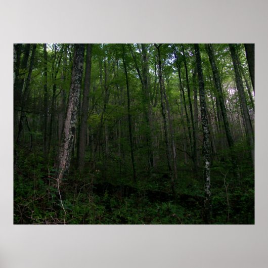 森 ポスター (正面)