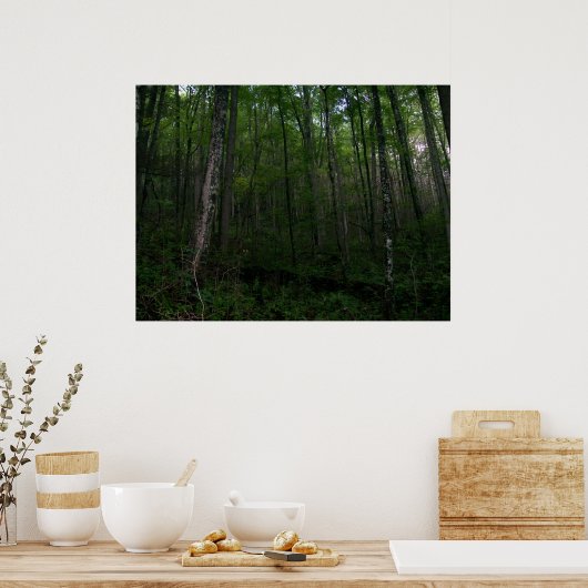 森 ポスター (キッチン)