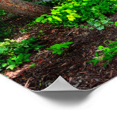 森 ポスター (角)