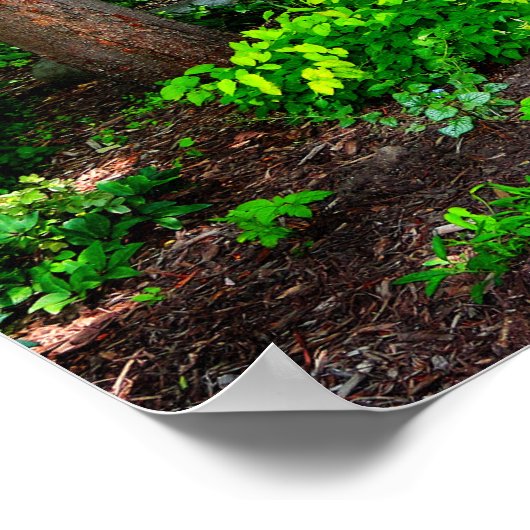 森 ポスター (角)