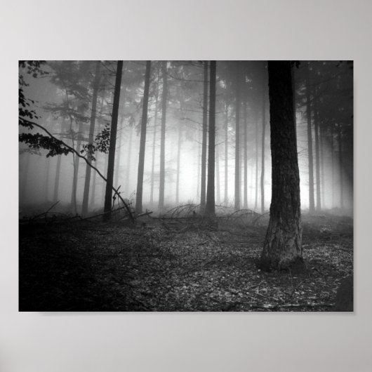 森 ポスター (正面)