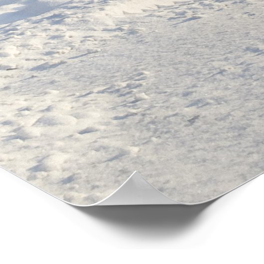 森 ポスター (角)