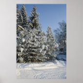 森 ポスター (正面)