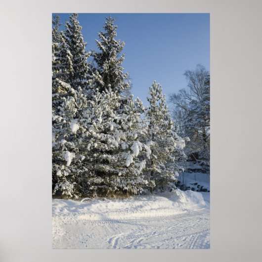 森 ポスター (正面)