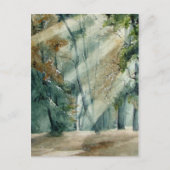 森 ポストカード (正面)