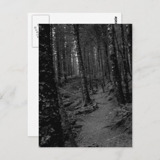森 ポストカード (正面/裏面)