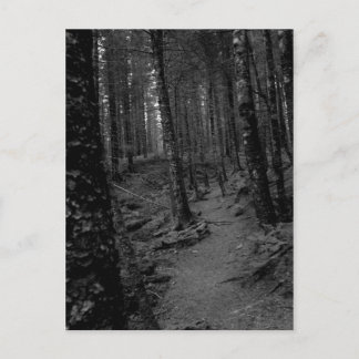 森 ポストカード