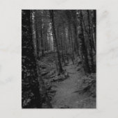 森 ポストカード (正面)