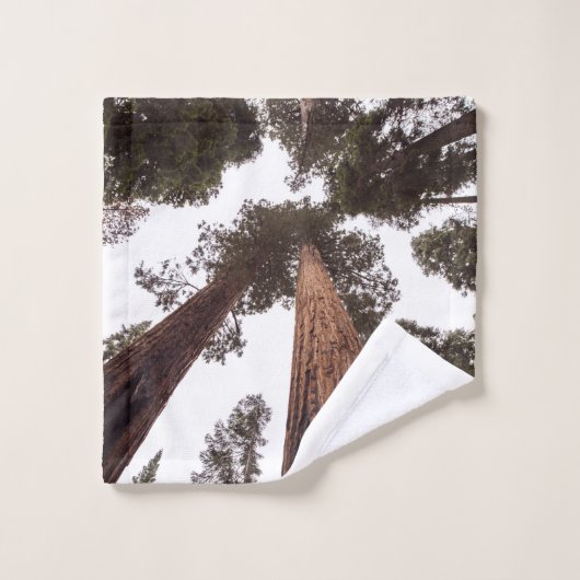 森、木 ウォッシュタオル (ウォッシュタオル)