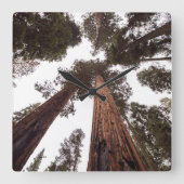 森、木 スクエア壁時計 (正面)