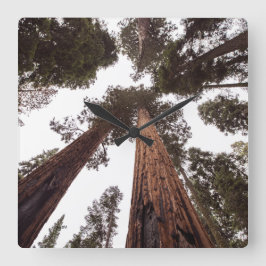 森、木 スクエア壁時計