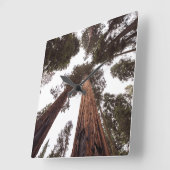 森、木 スクエア壁時計 (傾斜)