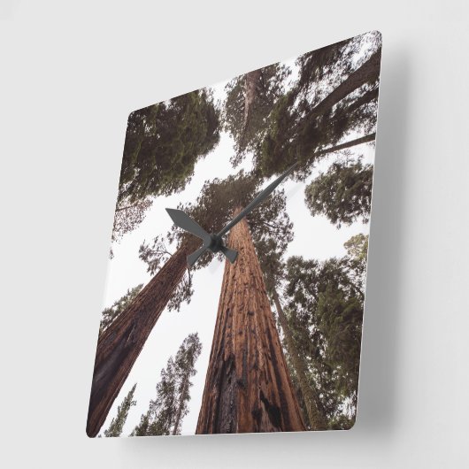 森、木 スクエア壁時計 (傾斜)