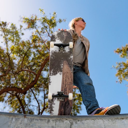 森、木 スケートボード (室外1)