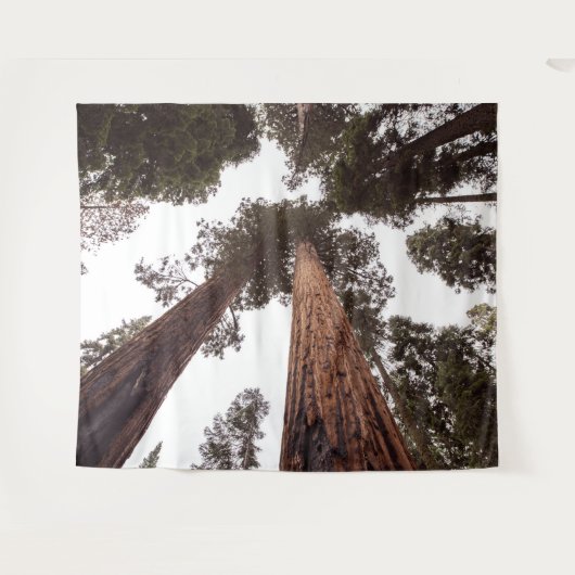 森、木 タペストリー (正面(横))